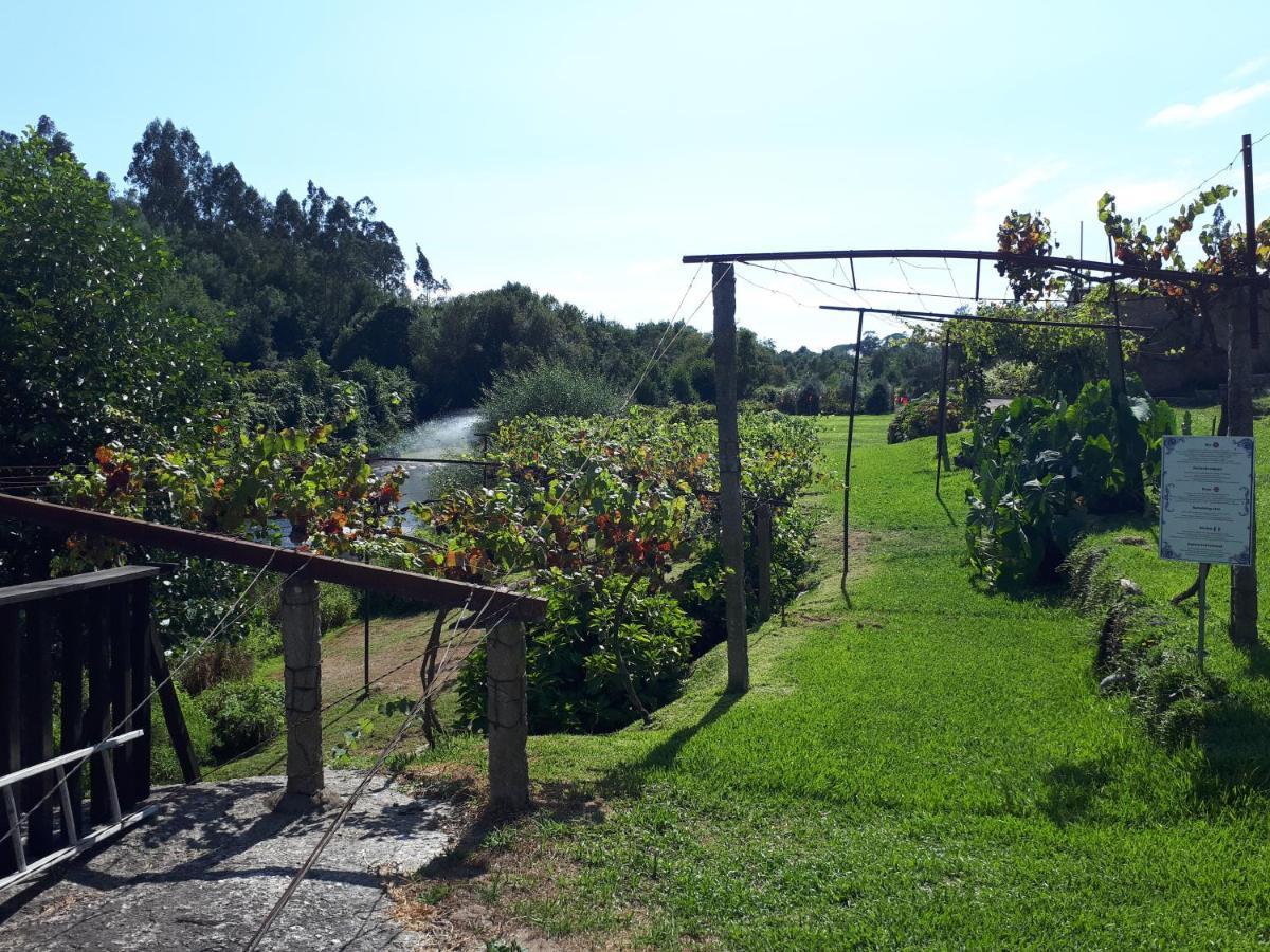 Dream Corner By Waterfalls, 20 Min To Oporto, By Porto With Love Lda Parada  Εξωτερικό φωτογραφία