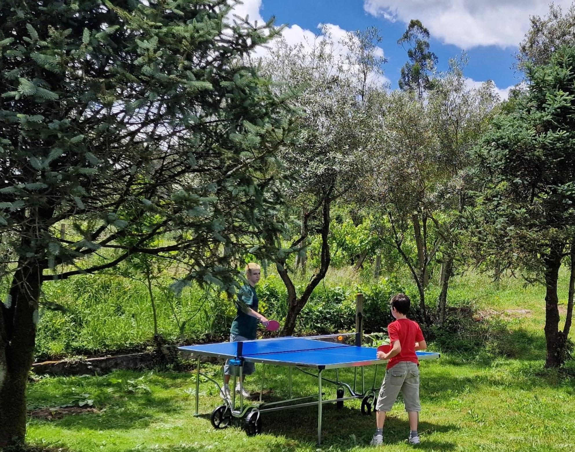 Dream Corner By Waterfalls, 20 Min To Oporto, By Porto With Love Lda Parada  Εξωτερικό φωτογραφία