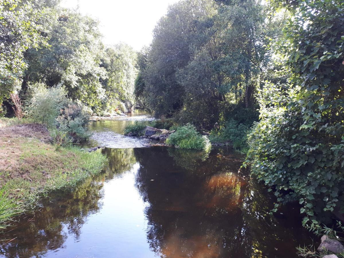 Dream Corner By Waterfalls, 20 Min To Oporto, By Porto With Love Lda Parada  Εξωτερικό φωτογραφία