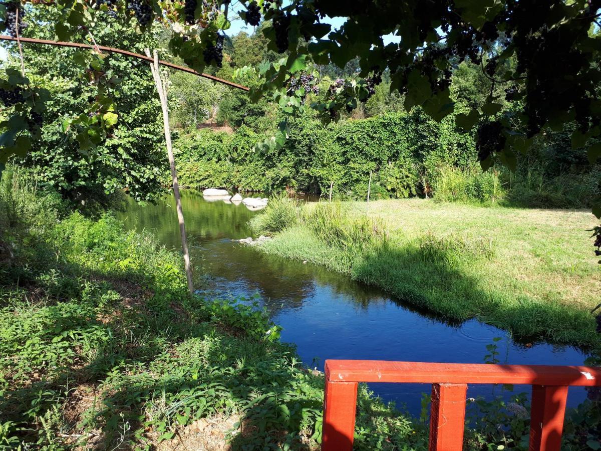 Dream Corner By Waterfalls, 20 Min To Oporto, By Porto With Love Lda Parada  Εξωτερικό φωτογραφία